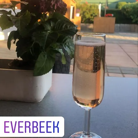 Logie Moonlight Brakel